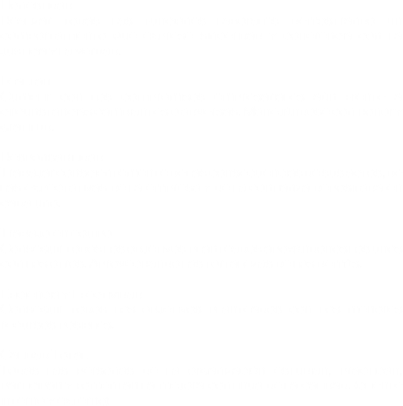 Honestidad Realizar todas las funciones laborales demostrando un comportamiento que exprese sinceridad y coherencia con la justicia y la verdad. Lealtad Cumplir con los compromisos empresariales aún frente a circunstancias cambiantes o adversas. Manejándose con honor y gratitud. Responsabilidad Trabajar conscientemente de las consecuencias de sus actos, de las expectativas de la empresa y de la confianza depositada en cada uno. Trabajo en equipo Conseguir todos los objetivos planteados apoyándonos los unos con los otros. Aprovechando las fortalezas de los demás. Eficiencia y Efectividad Conseguir todos los objetivos planteados con los menores recursos posibles. Calidad Total Todas las personas de la organización estudian, practican, participan y fomentan la mejora continua de la calidad. (cliente interno y externo) 